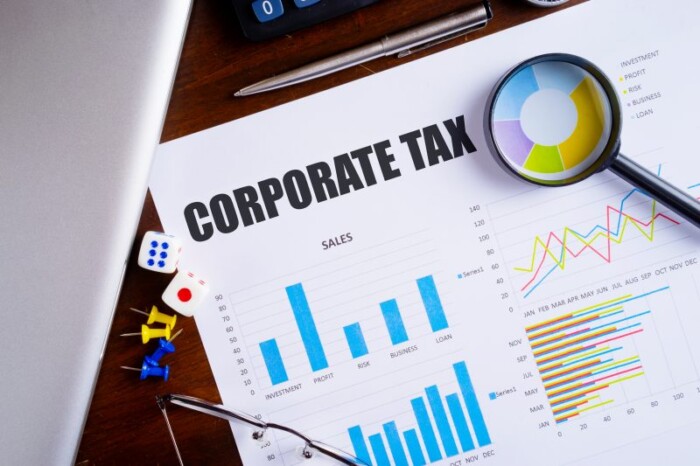 Corporate Tax Consultation